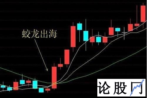 蛟龙出海
