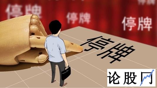股票停牌