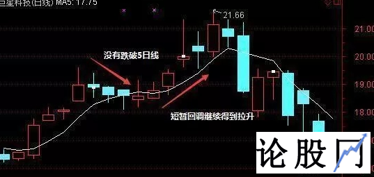 中虹股票财经网