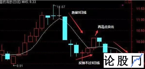 中虹股票财经网